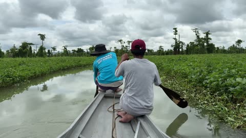 Living with the World’s Largest Crocodiles in the Philippines