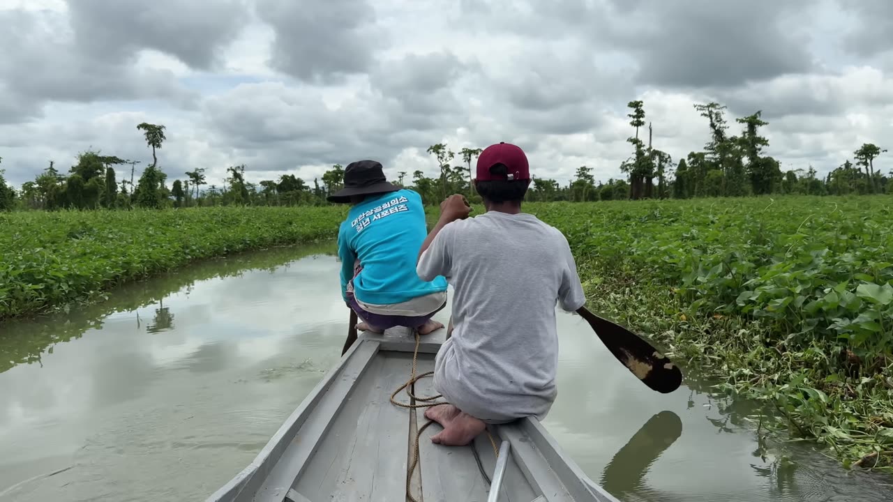 Living with the World’s Largest Crocodiles in the Philippines