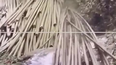 Ideas fox part 31
