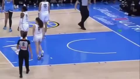 TWO "Toys" at WNBA game !?!?!