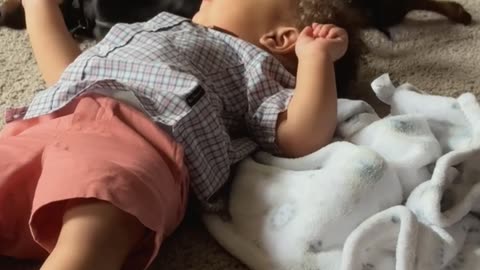 Best Friends Relax On Backs Together