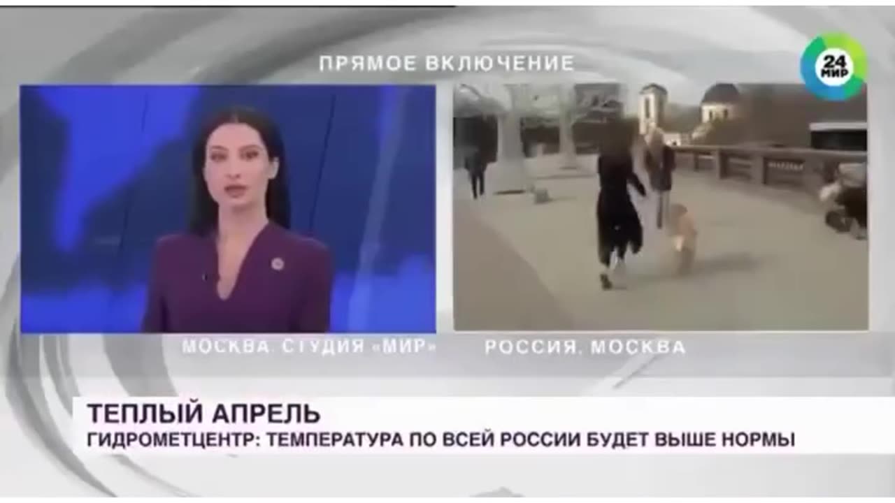 Dog just wanted its 15 minutes of frame 😔