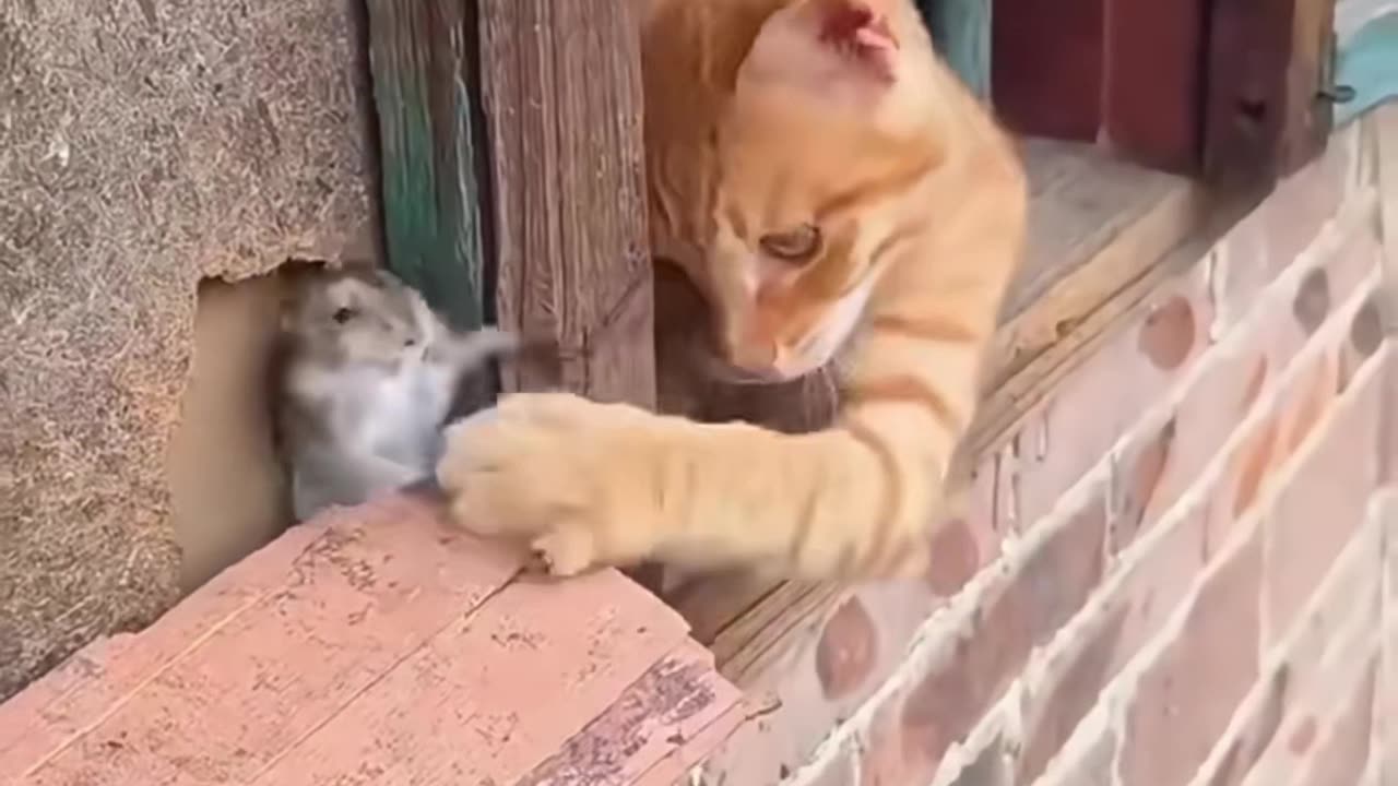 Love is love