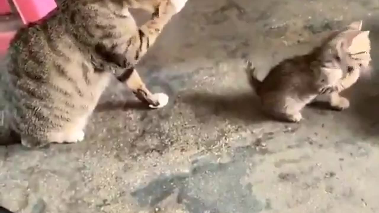 Copycat.. 😅