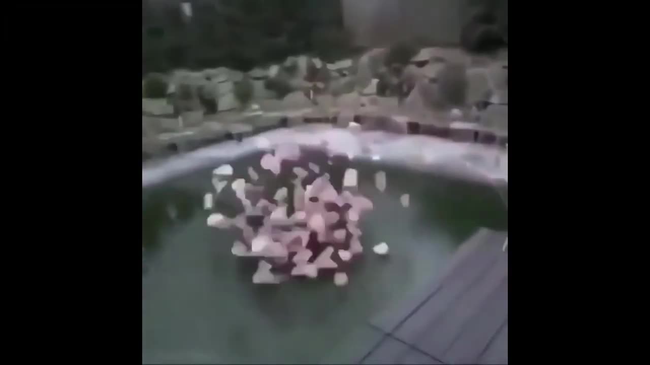 guy jumps on ice but instead of the ice he breaks