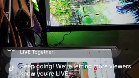 Live with Tristen Time!