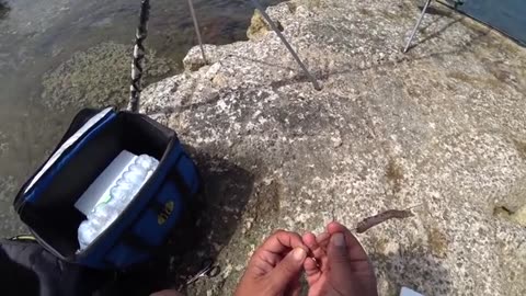 fishing with bobbit worm, e la uso sulla nuova canna da pesca_part4