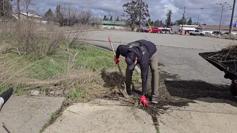 I Discovered A MOSS INFESTED Sidewalk And SCRAPED It Clean_part5