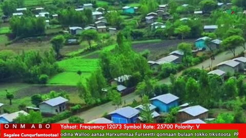 Oduu Waaree ONM-ABO Onkoloolessa 24-2025 itti dhiyaadhaa!