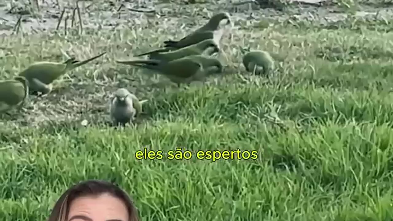Fofo
