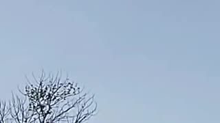 Bonner Springs, Kansas man films a floating black ring in the sky during a motorcycle ride.