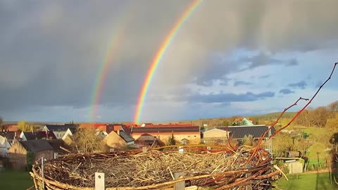 The rare phenomenon of a double rainbow 🌈🌈