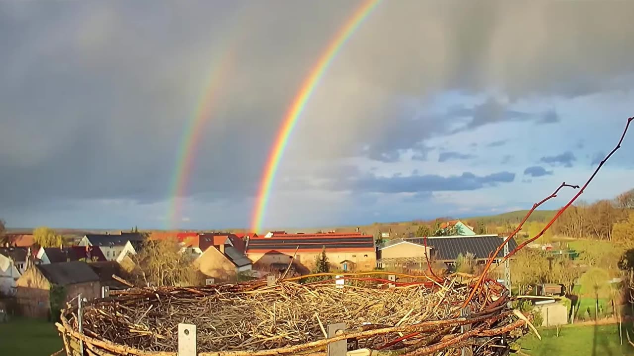 The rare phenomenon of a double rainbow 🌈🌈