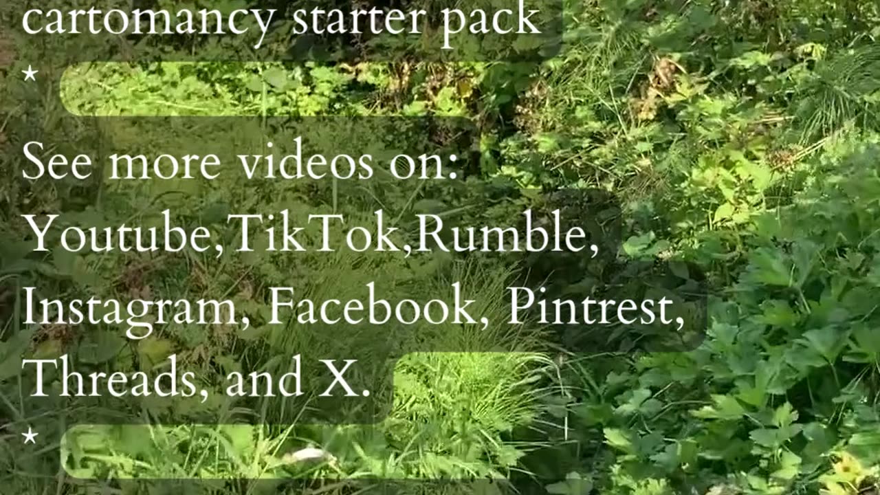 Ready To Lead | Path and Tarot Reading