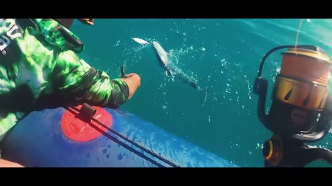 Rudolph Scheepers Vlog Series Mozambique Part.1