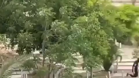MUST SEE: The Moment a Terrorist is Shot and Killed