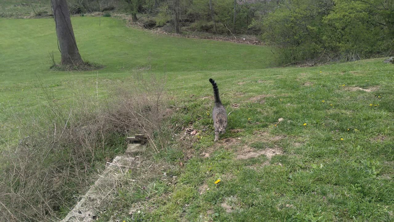 Return from the hunt