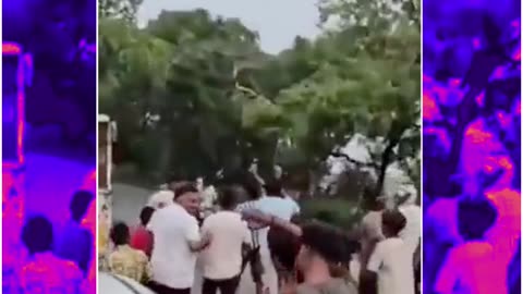 Children Play with 15-Foot Python in UP, Forest Officials Intervene After Viral Video