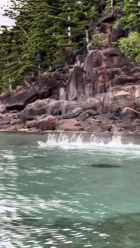 never seen this before