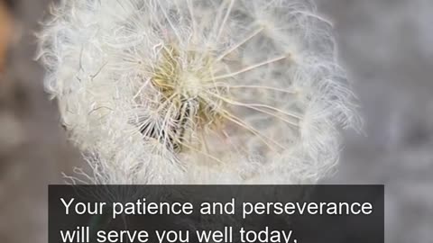 Daily Horoscope | Taurus 🌟