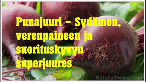 Punajuuri - sydämen, verenpaineen ja suorituskyvyn superjuures