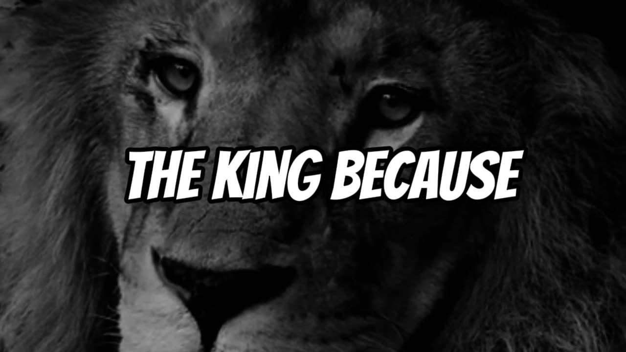 Be a Lion, Not a Loser