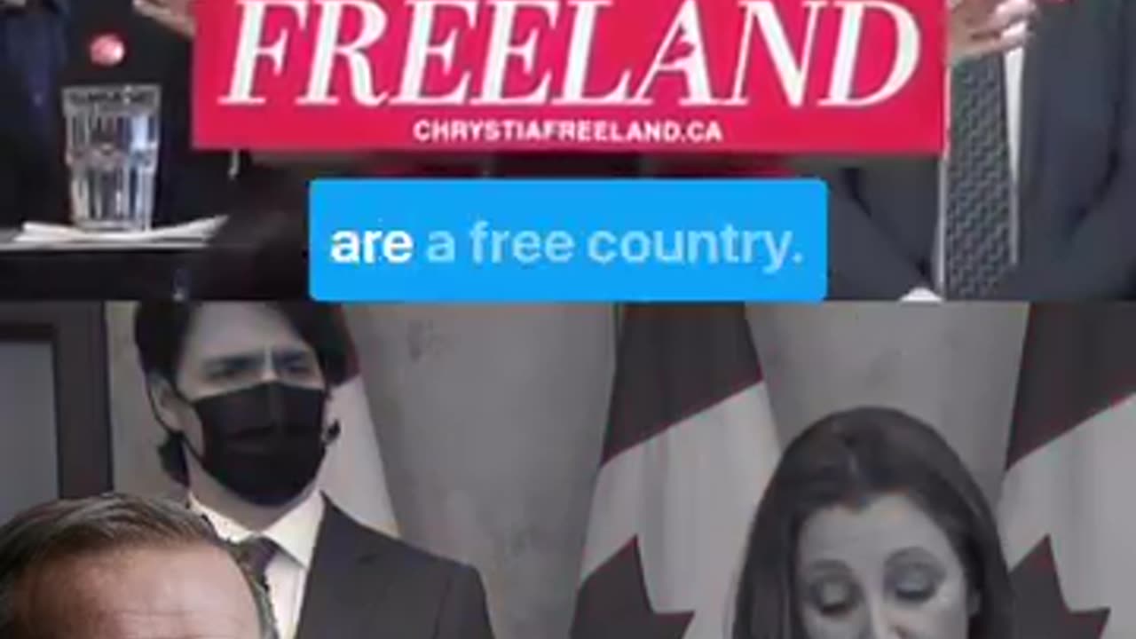 Liberals: They Are All The Same! 🤷‍♀️