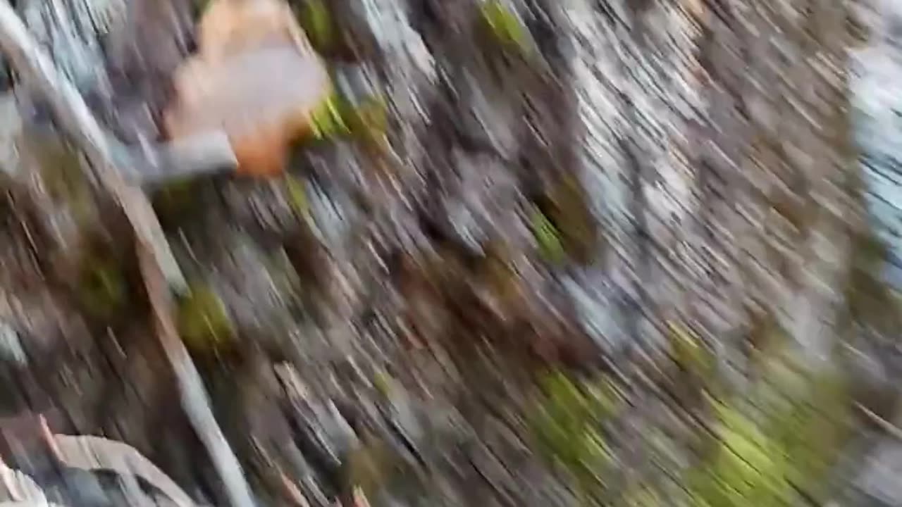Did I Just Find What I Think I Found??!!
