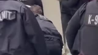 Group Of Individuals Get Into A Fight With Chicago Officers