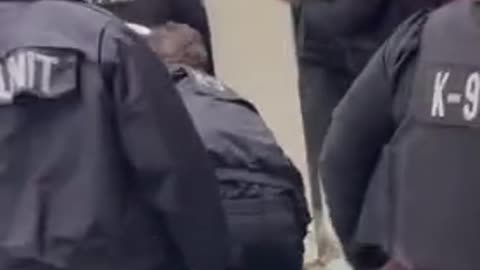 Group Of Individuals Get Into A Fight With Chicago Officers