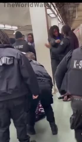 Group Of Individuals Get Into A Fight With Chicago Officers