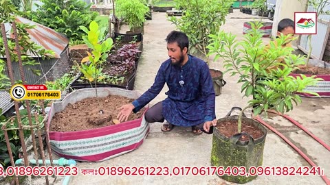 রাউন্ড বড় বেডে ফলের গাছ লাগালে সুবিধা কী? 🍋🍓 | Geo Bed Farming Benefits |