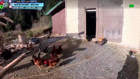 Cant be Stopped FARMSTEAD REMOTE Isolated ALASKAN Village | !Real !Homestead