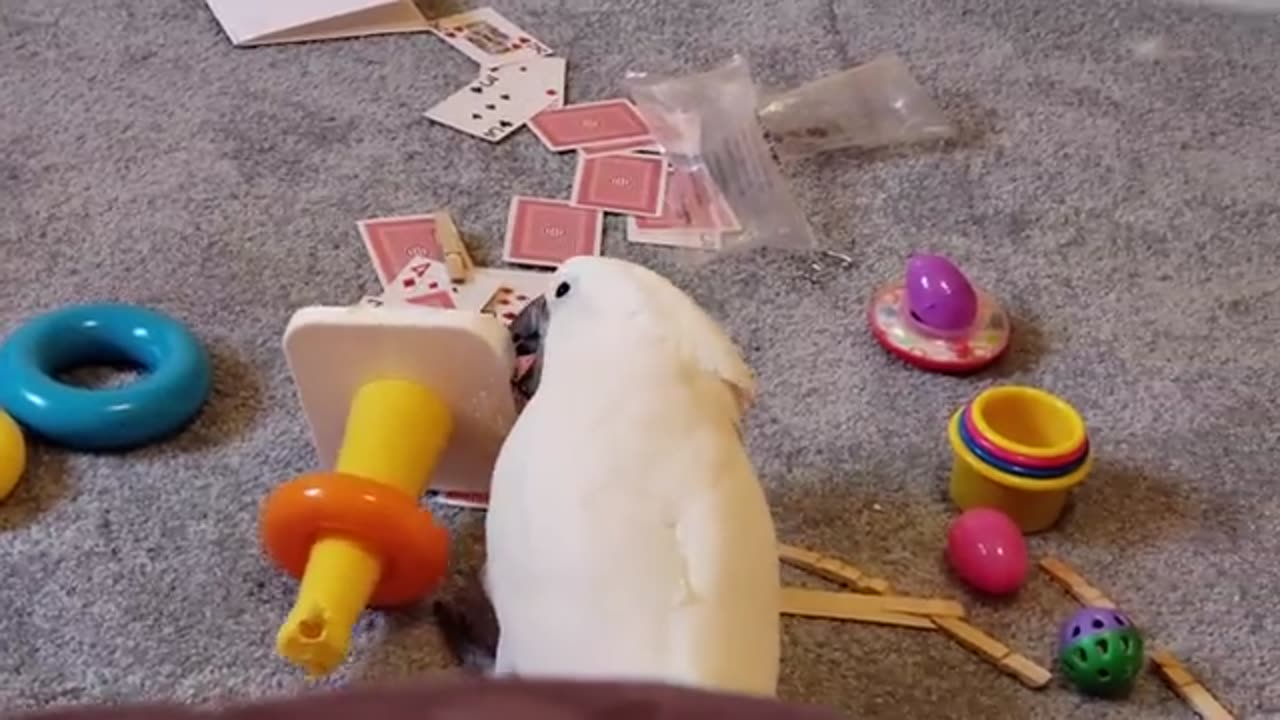 Shhh, Incognito