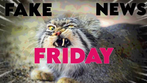 Introducing Herb, Airport Story, and Joke - FakeNewsFridayShow