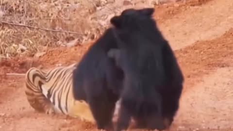 Mothers love