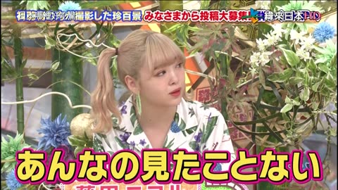 20220328_ナニコレ珍百景
