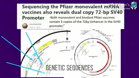 DR. SUZANNE HUMPHRIES - PFIZER'S SV40 IS CRIME AGAINST HUMANITY