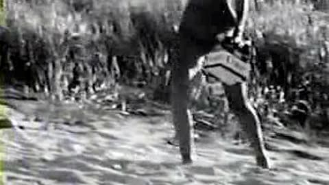 Commercial - Coca Cola 1965 (Take an extra carton) Improved quality