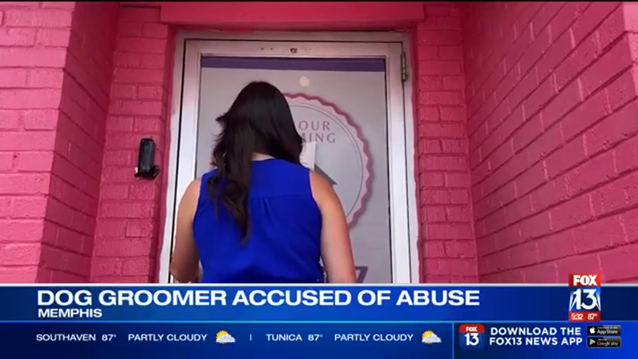 DISTURBING VIDEO WARNING - More pet owners come forward ...
