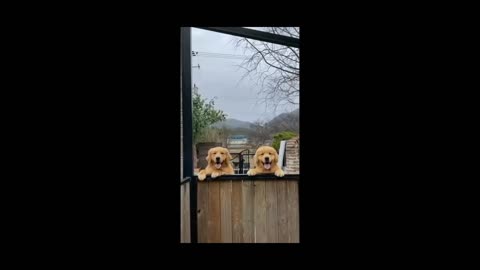 Let's laugh together.