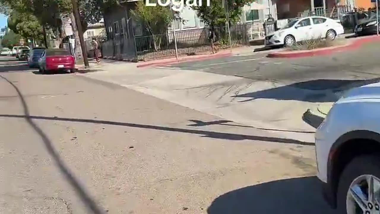 Flaming Fabio recorded DHS agents forcibly detaining a potential illegal alien who was resisting