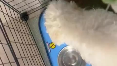 Thirsty