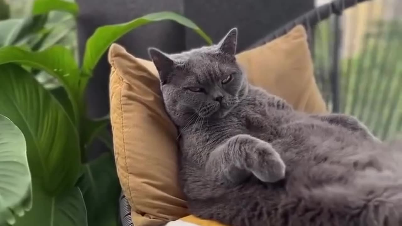 Perfect Sunday...