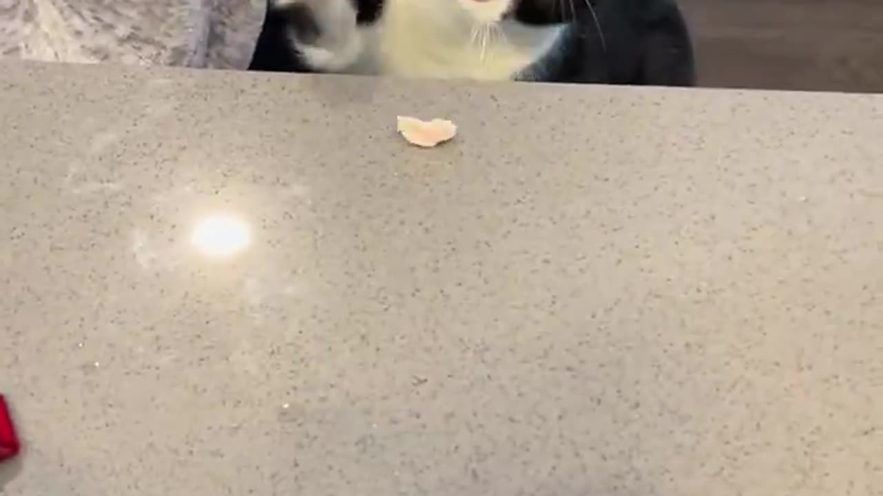 Can someone translate please