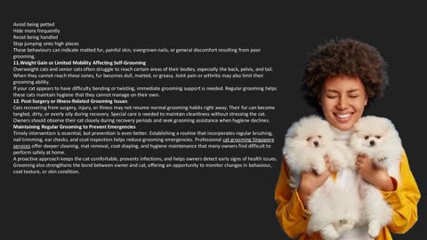 Top Signs Your Cat Needs Immediate Grooming Attention- The Pets Workshop