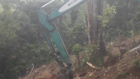 Excavator Carves a Road Where None Existed