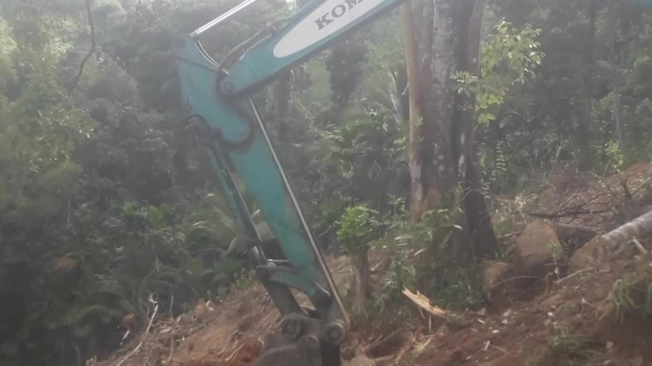 Excavator Carves a Road Where None Existed