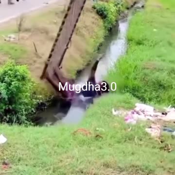 Some incredible moments! 🔥🤯 #viralshorts #shortsfeed #funnyshorts