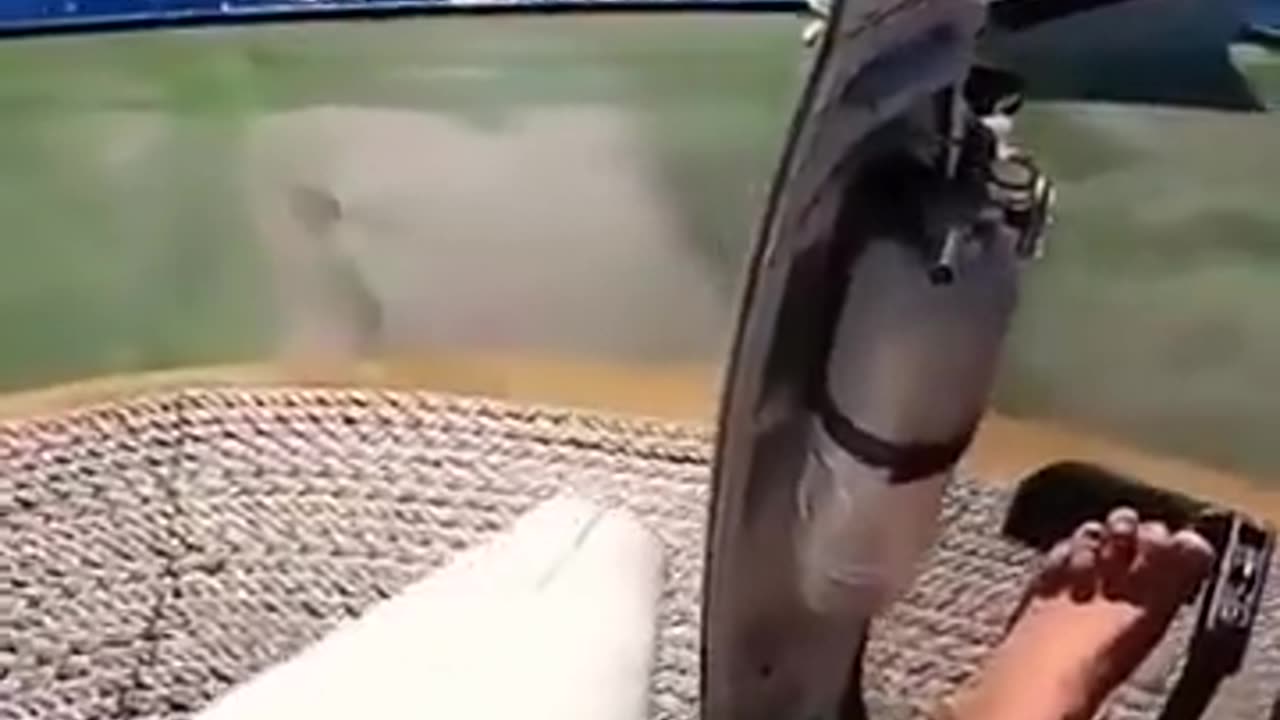 🤯✨ Watch a Helo Land on a Moving Fishing Vessel! | FeedMyCuriosity